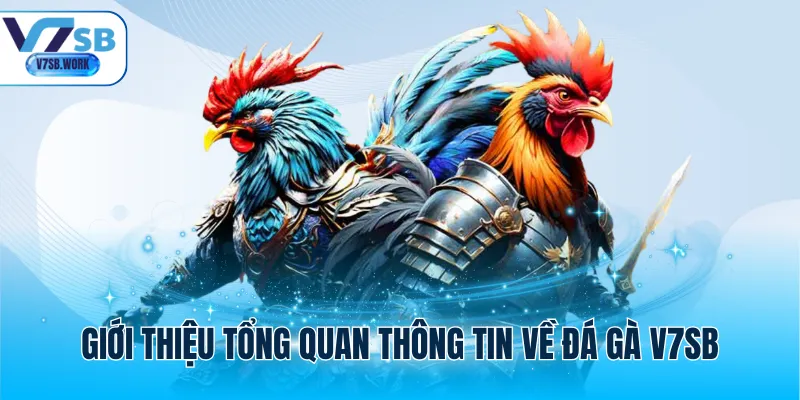 Giới thiệu tổng quan thông tin về đá gà V7SB